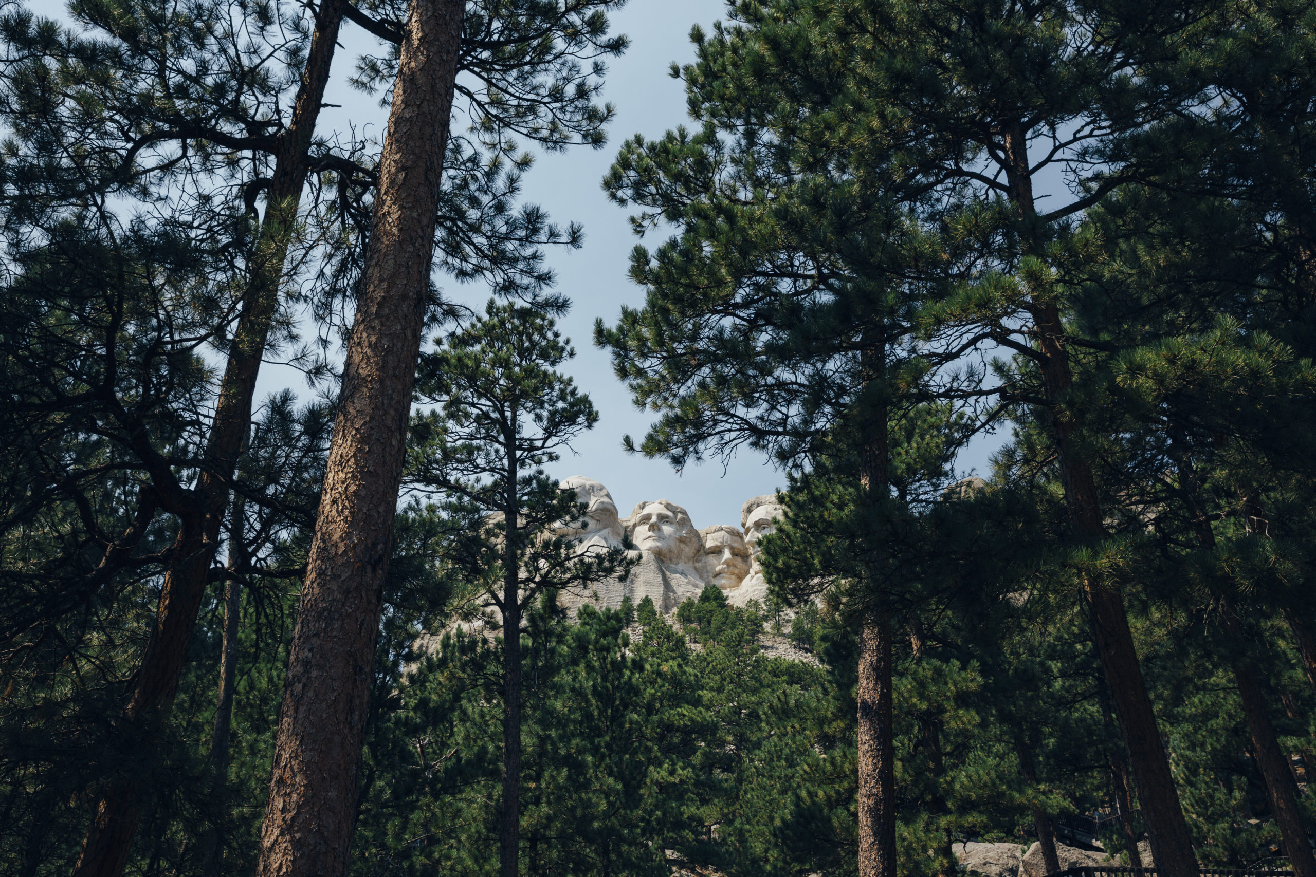 Mount Rushmore National Monument in South Dakota as seen through a stand of pine trees